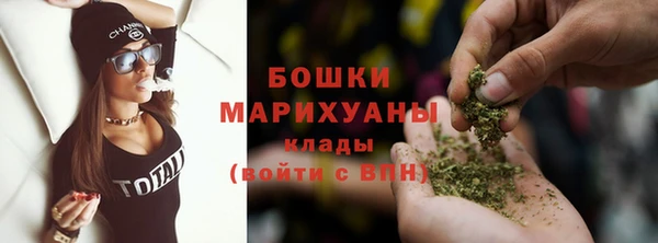 молекула духа Арсеньев
