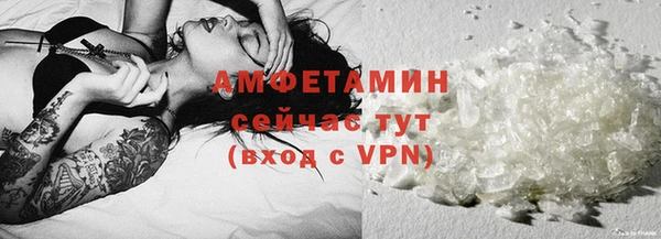 молекула духа Арсеньев