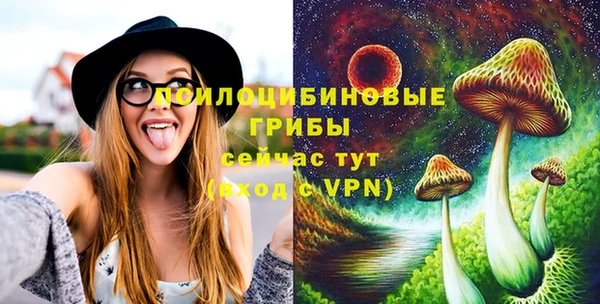 спайс Аркадак